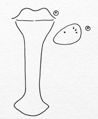 Bayeriola erysimi: spatula