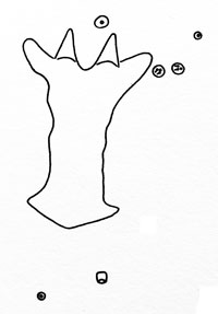 Planetella caricis: spatula